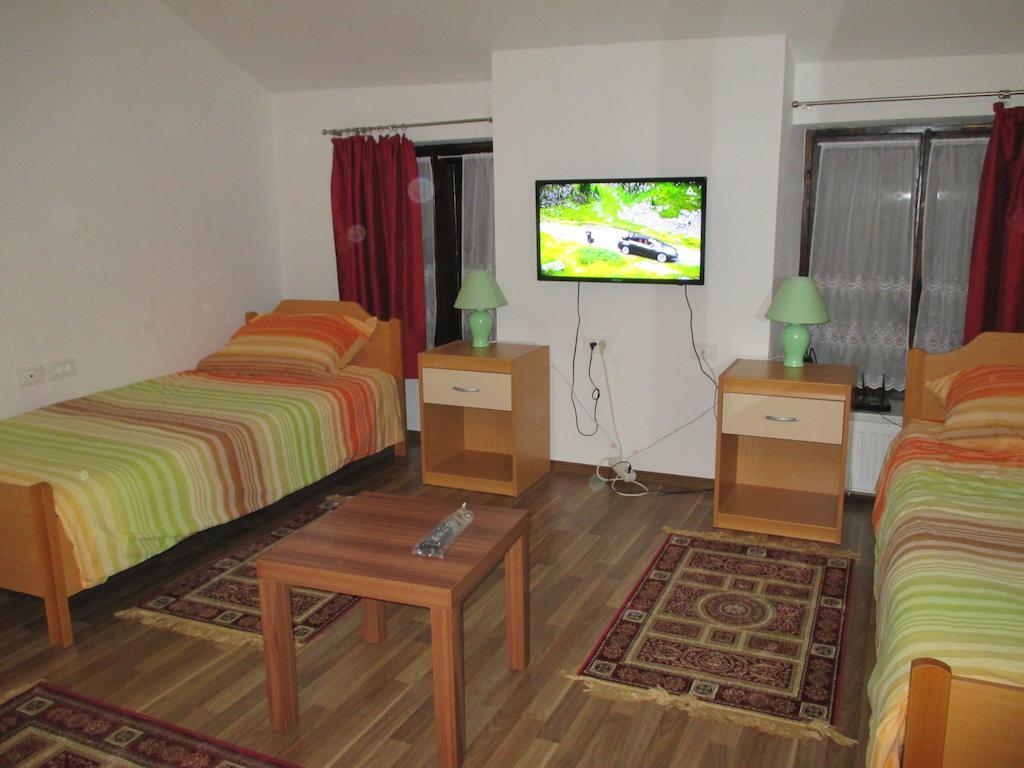 Apartment Studio Brnat
